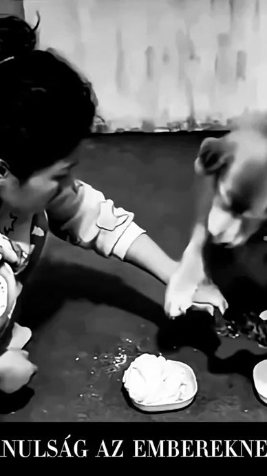 TikTok video thumbnail by fairy_3035