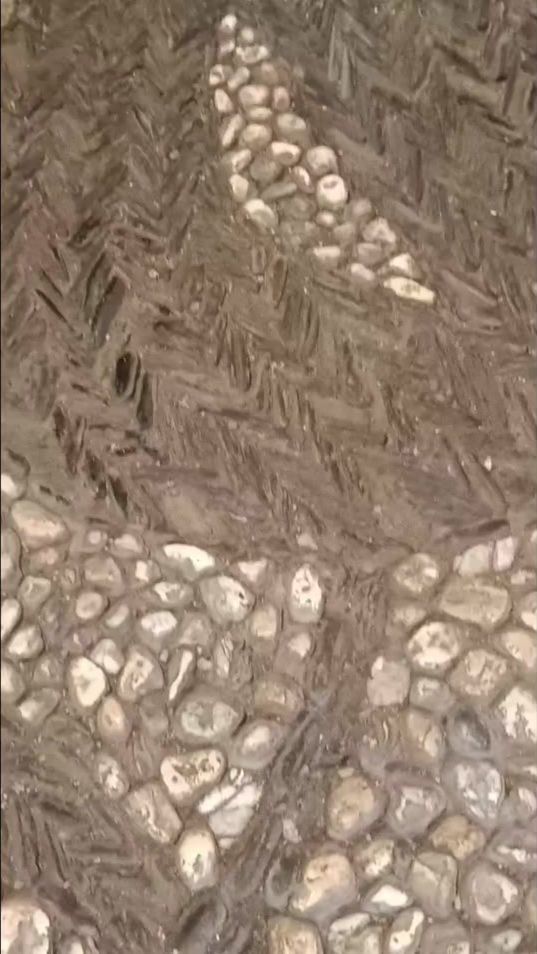 TikTok video thumbnail by _granaino
