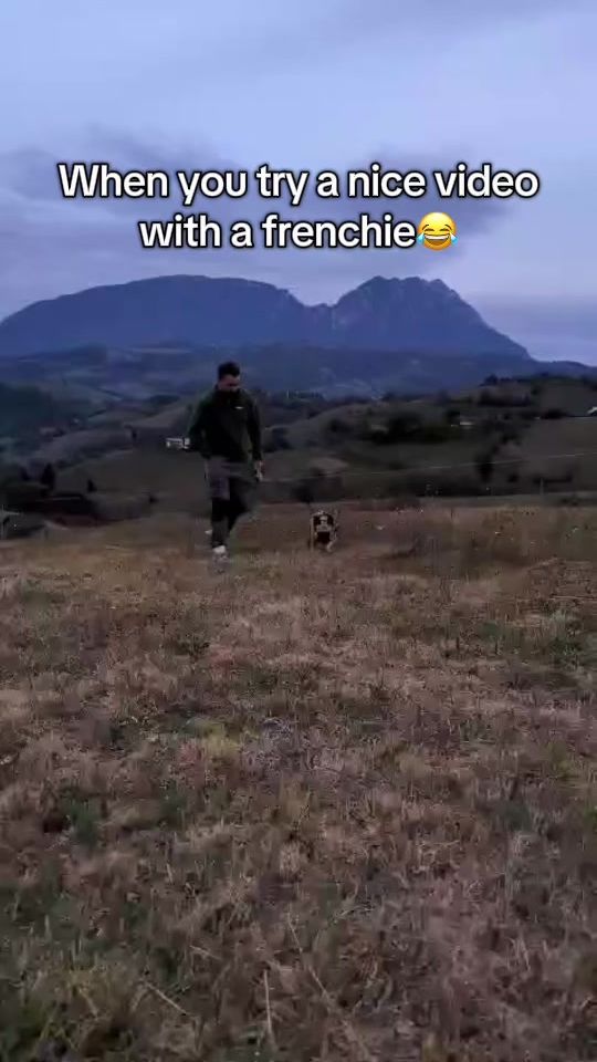 TikTok video thumbnail by rollofartbassigorsadass