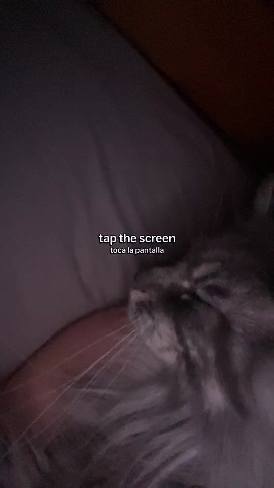 TikTok video thumbnail by davcasladecky