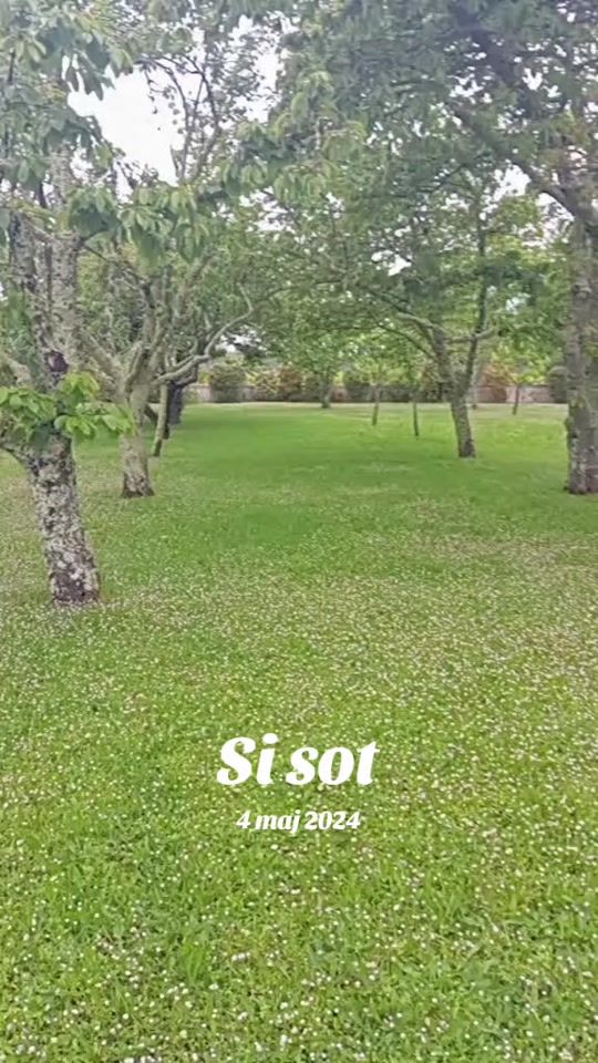 TikTok video thumbnail by djalgimajsh