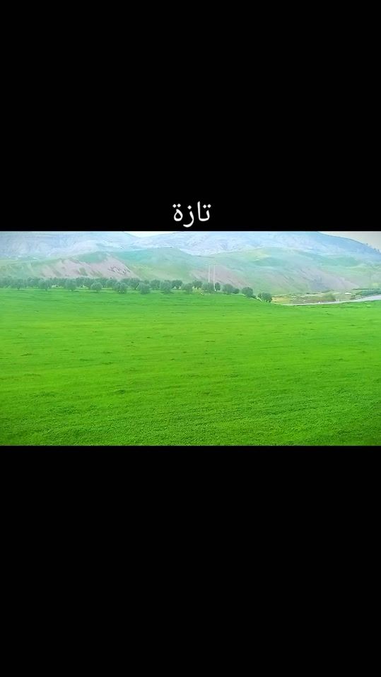 TikTok video thumbnail by med43087