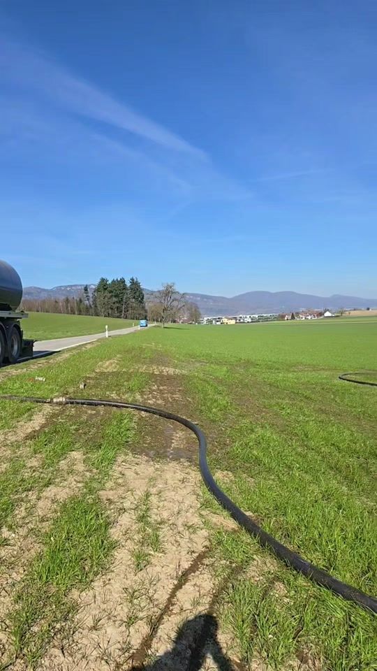 TikTok video thumbnail by fischerrafi