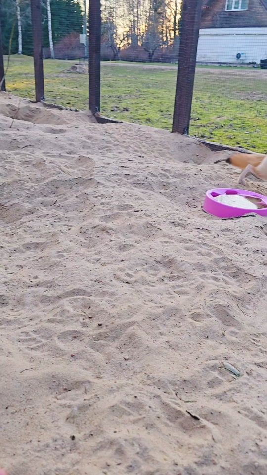TikTok video thumbnail by fenegator