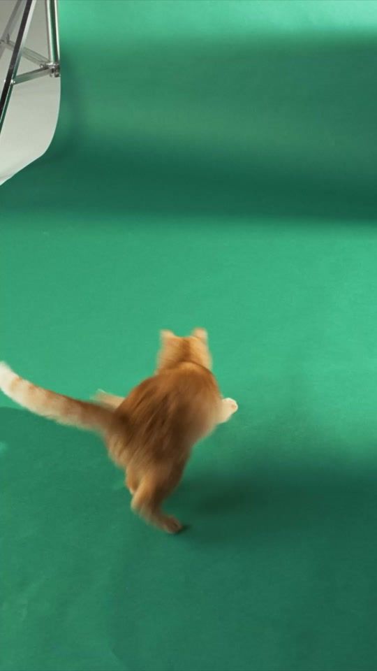 TikTok video thumbnail by skodapl