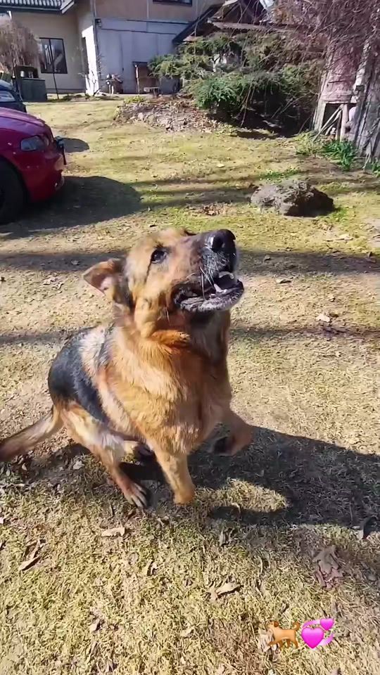 TikTok video thumbnail by betuk11