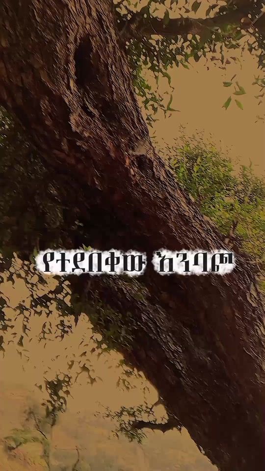 TikTok video thumbnail by bervan920
