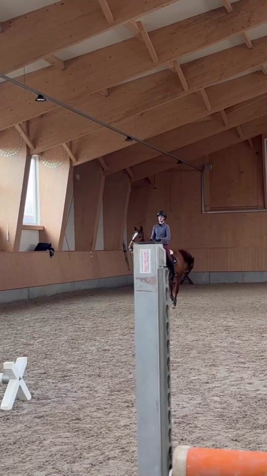 TikTok video thumbnail by esab.showjumping