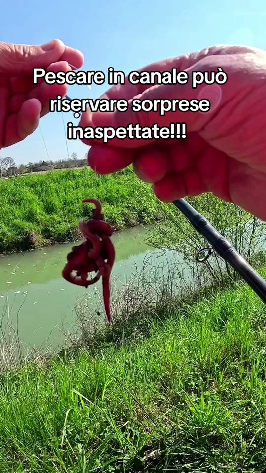 TikTok video thumbnail by mauryargentino