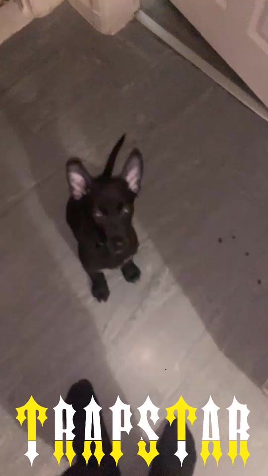 TikTok video thumbnail by thehitta_2k22