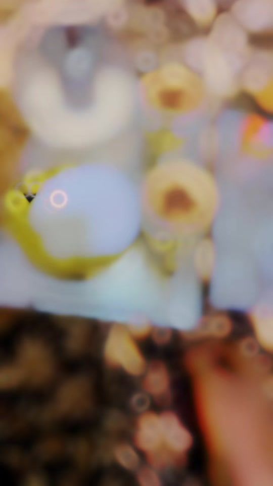 TikTok video thumbnail by watiine37