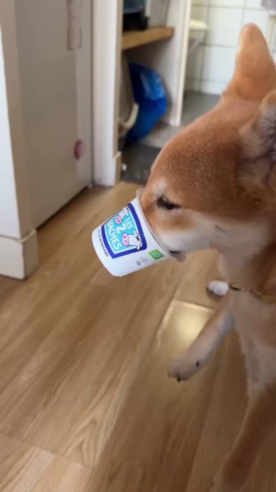 TikTok video thumbnail by alanfoodchallenge