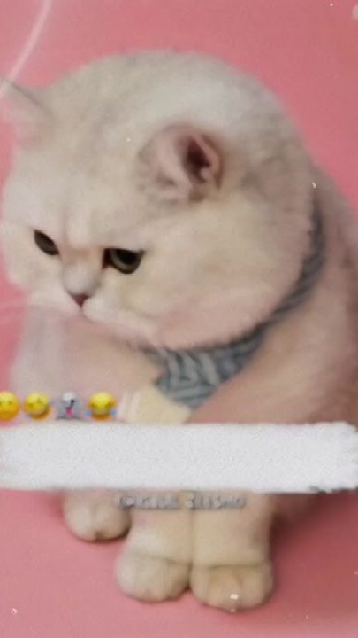 TikTok video thumbnail by original_zeesho