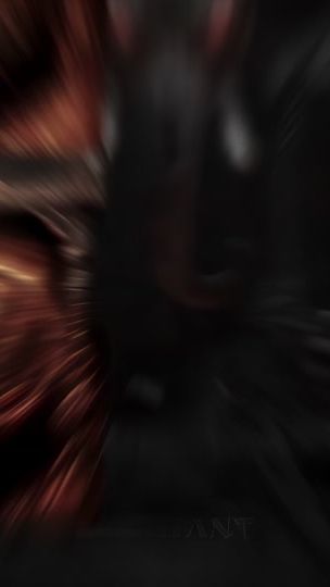 TikTok video thumbnail by elephant_xz