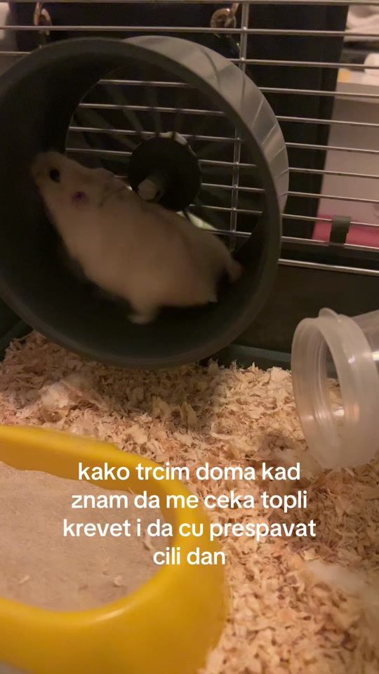 TikTok video thumbnail by .raaara