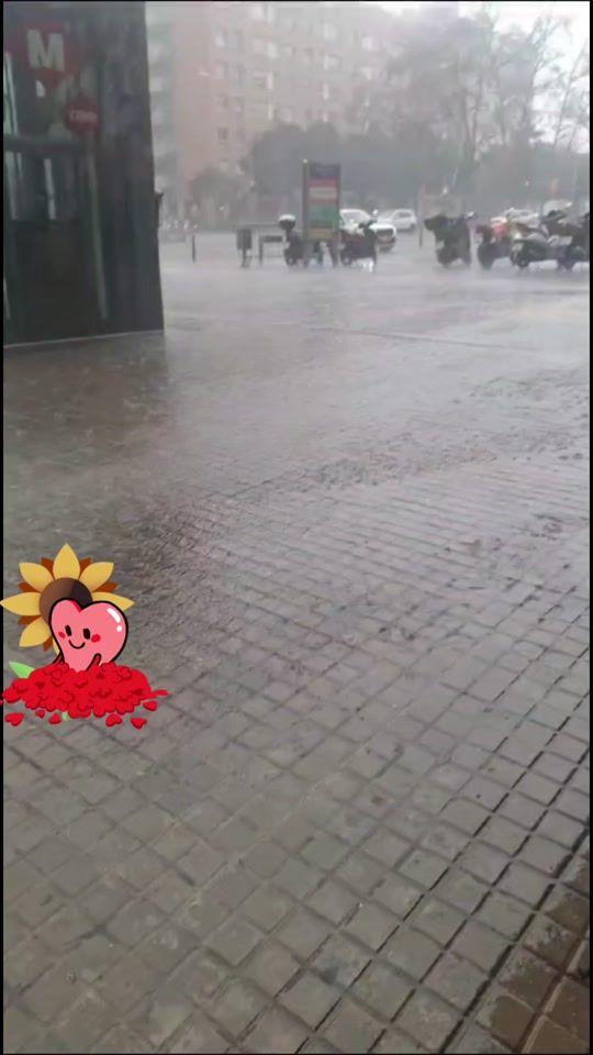 TikTok video thumbnail by coleccionistamsu