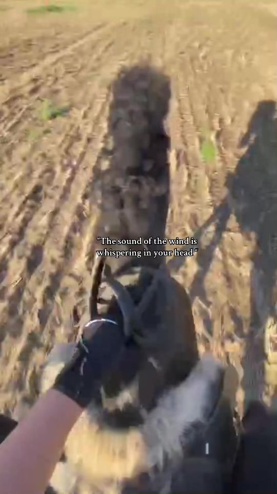 TikTok video thumbnail by emy_eq4