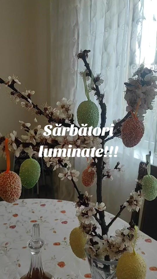 TikTok video thumbnail by vetrici.ada