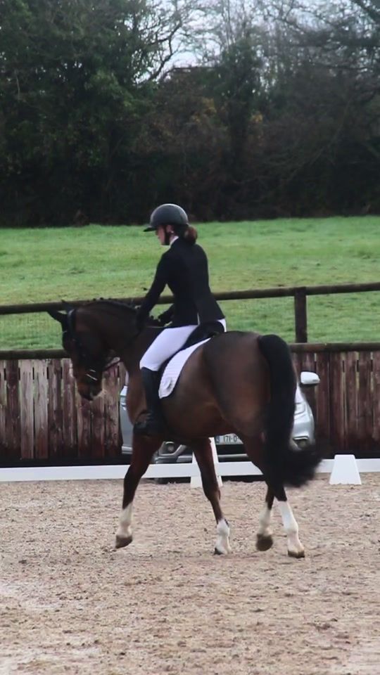 TikTok video thumbnail by madimcs.eventing