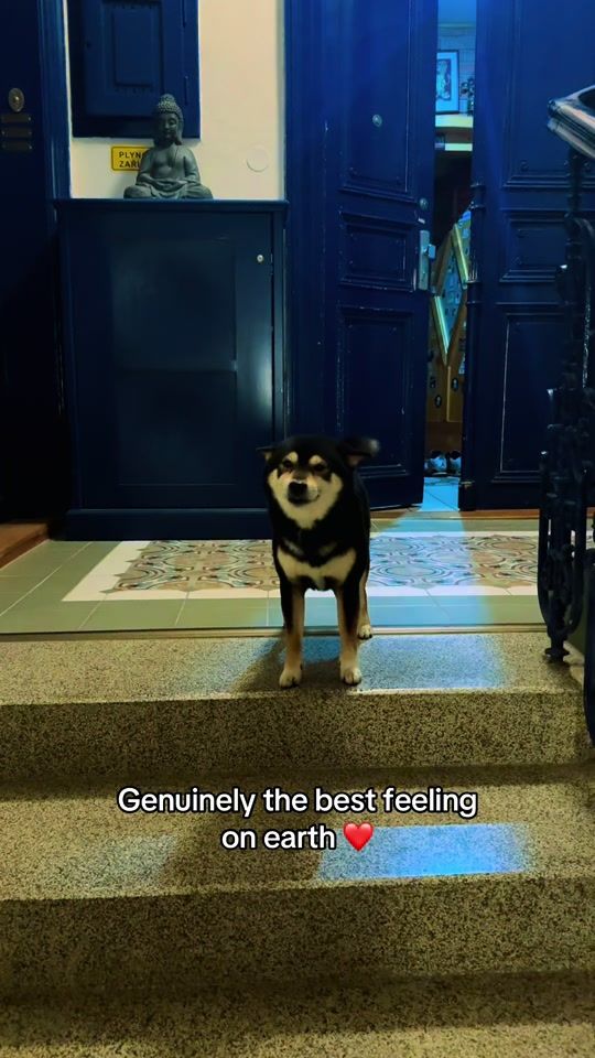 TikTok video thumbnail by viliamxo