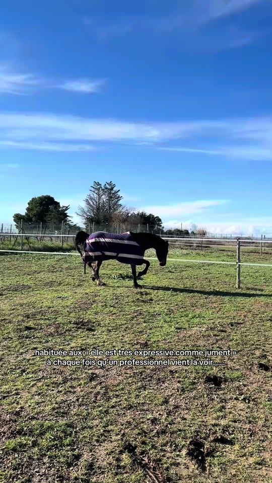 TikTok video thumbnail by nina.et.ses.poneys