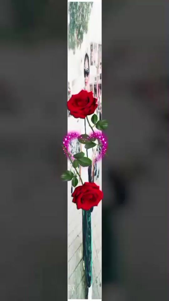 TikTok video thumbnail by wasantha.perera65