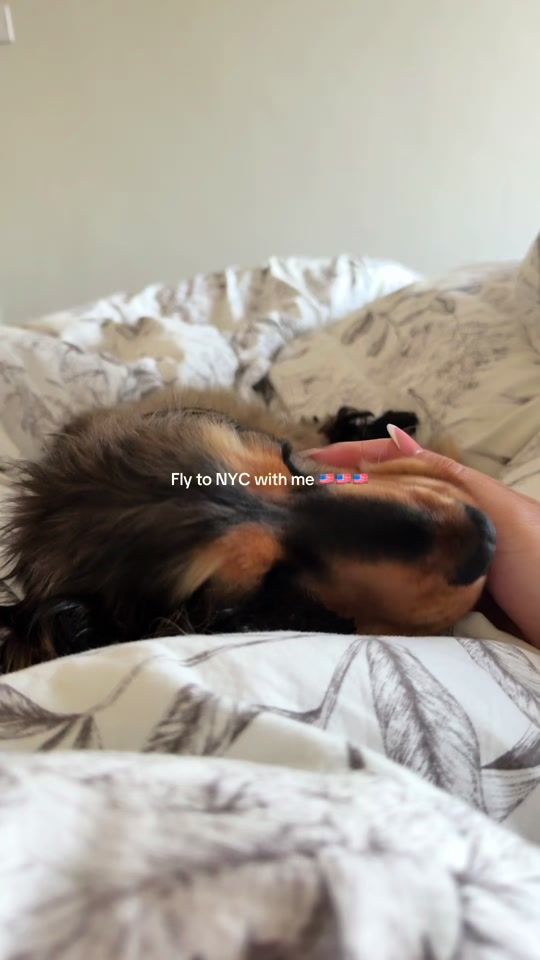 TikTok video thumbnail by xjp_x