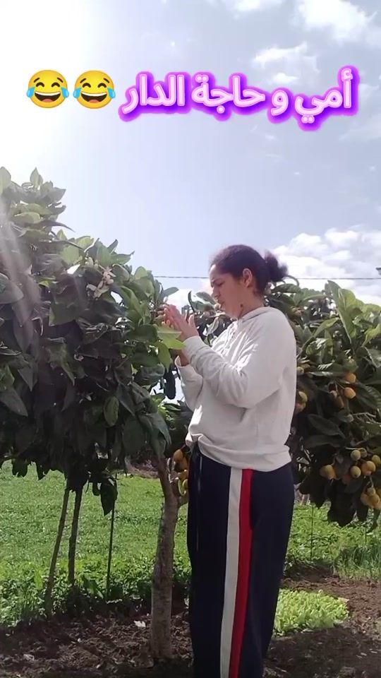 TikTok video thumbnail by alouisabrin