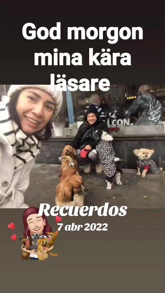 TikTok video thumbnail by .aura561
