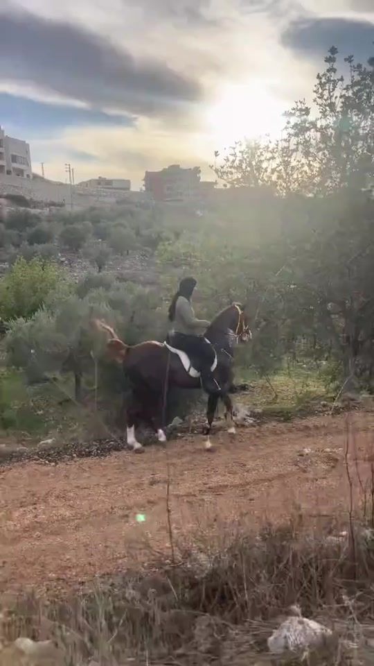 TikTok video thumbnail by fleurdamour34