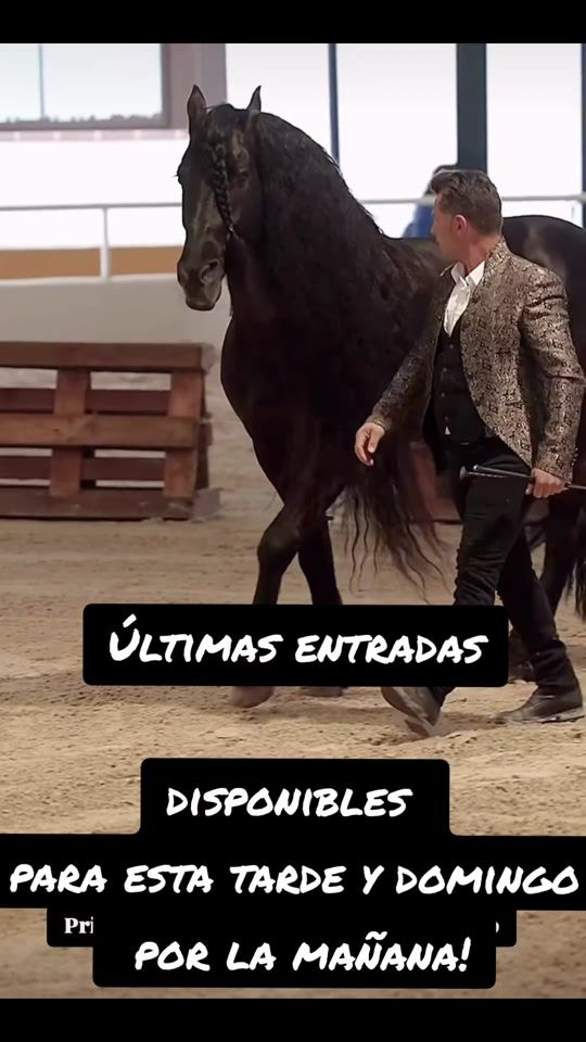 TikTok video thumbnail by wwwperlasur