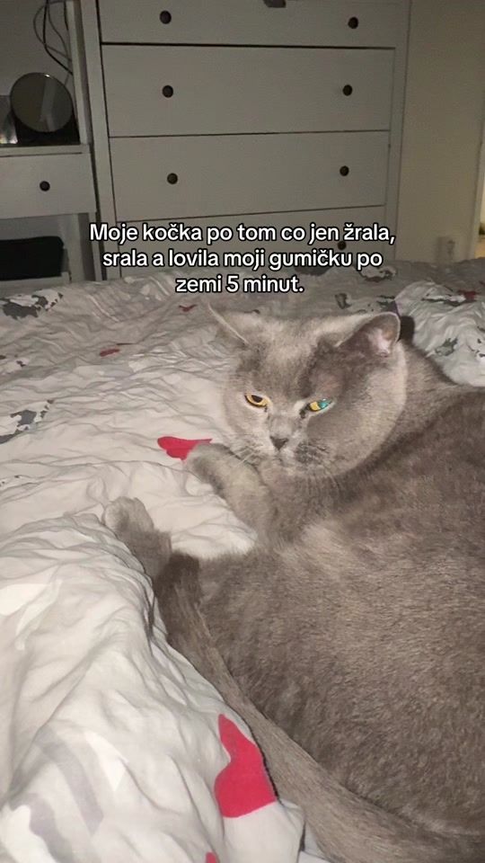TikTok video thumbnail by eliskawerdichova