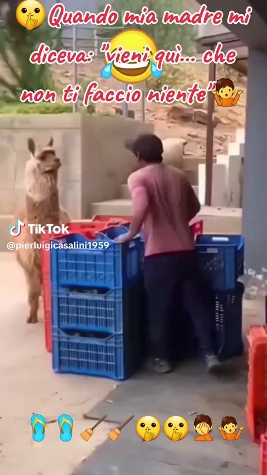 TikTok video thumbnail by pattyroma0