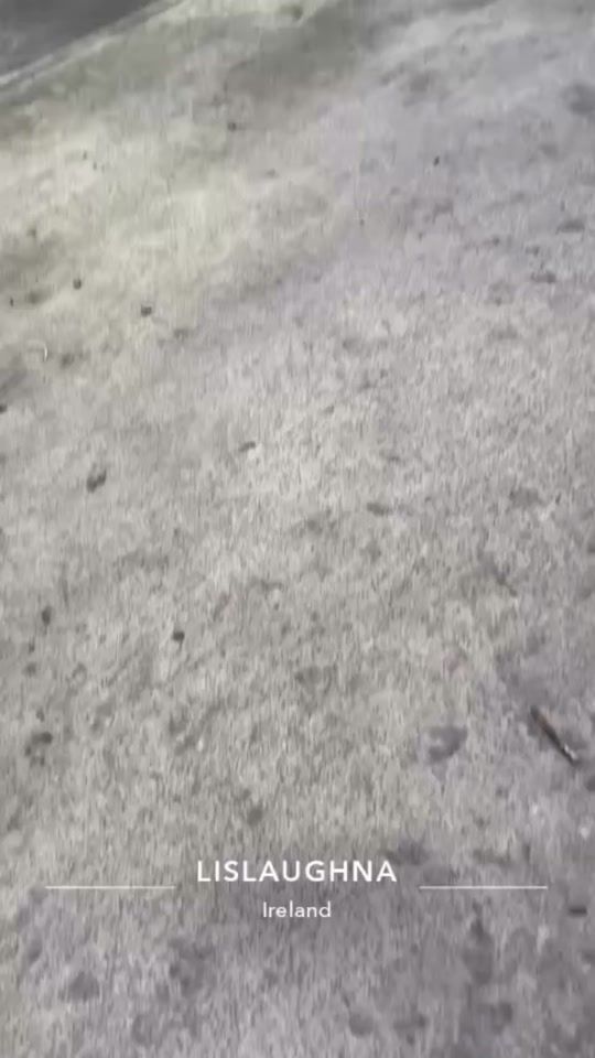 TikTok video thumbnail by phelim_7840