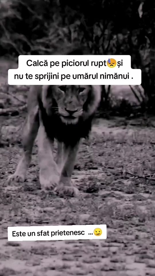 TikTok video thumbnail by un.fost.suflet.naiv