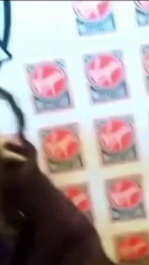 TikTok video thumbnail by violett_1248