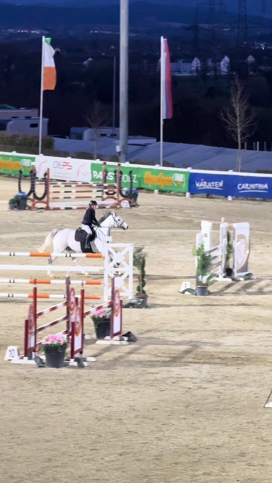 TikTok video thumbnail by stella_showjumping_
