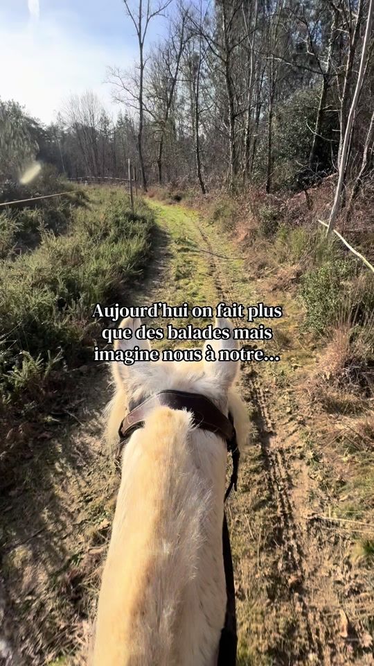 TikTok video thumbnail by _ma_petite_connemara