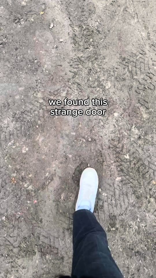 TikTok video thumbnail by renekmarken
