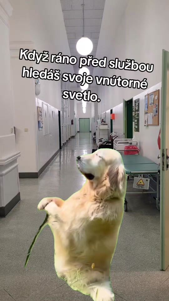 TikTok video thumbnail by sabine_burg
