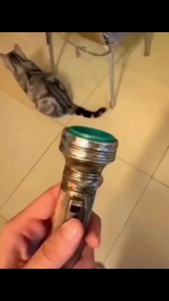 TikTok video thumbnail by funny.fails.laughing