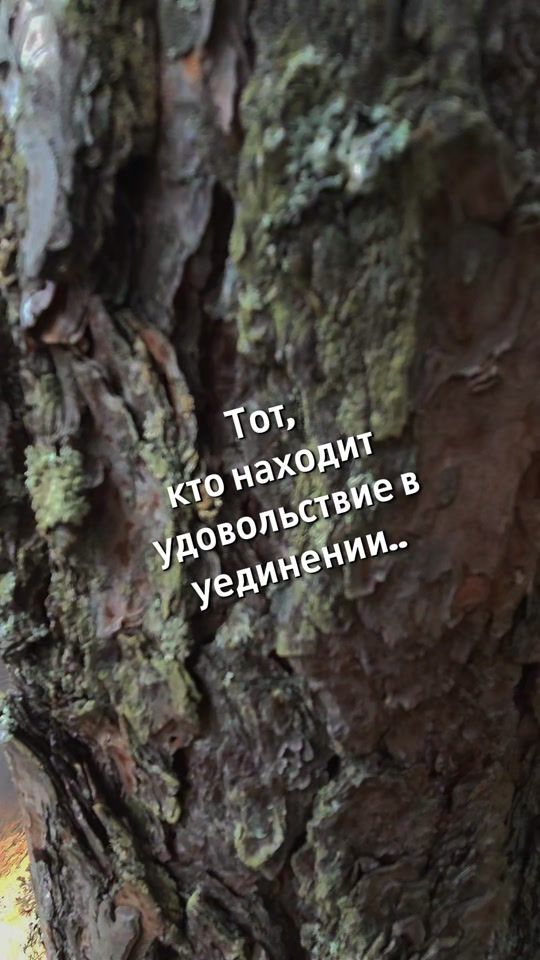 TikTok video thumbnail by venata171