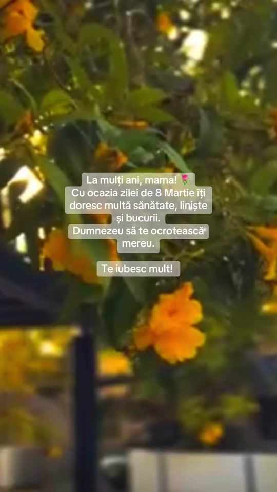 TikTok video thumbnail by citatedesuflet96