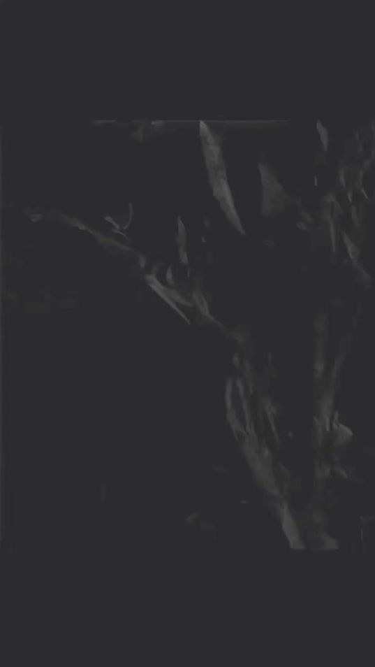 TikTok video thumbnail by lepadre_fg