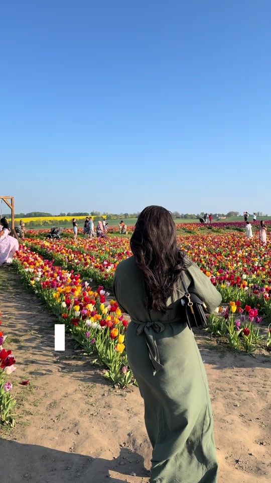 TikTok video thumbnail by farah97x