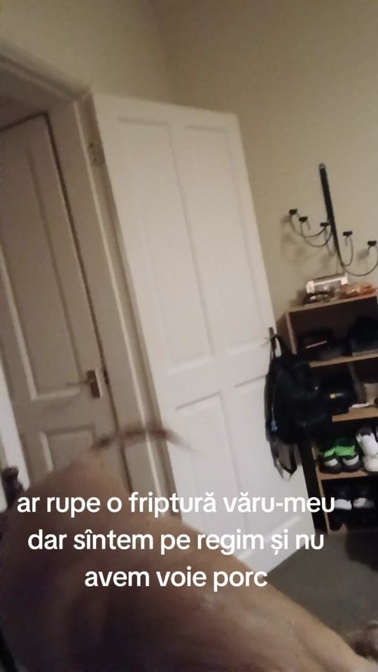 TikTok video thumbnail by romanuferi