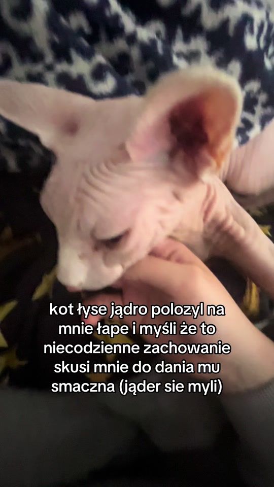 TikTok video thumbnail by get.lvst