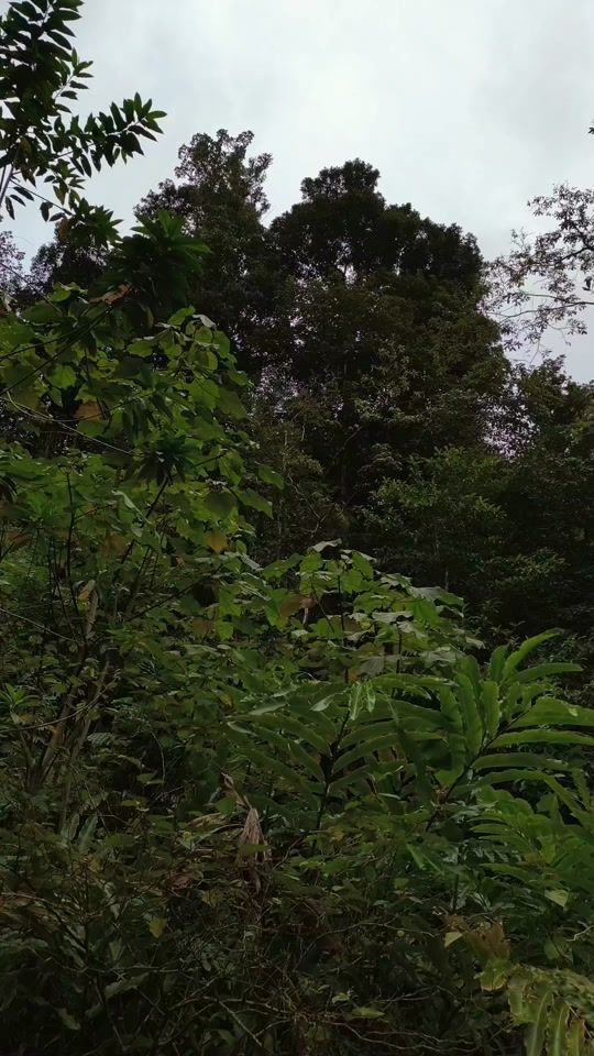 TikTok video thumbnail by nicolas_97130