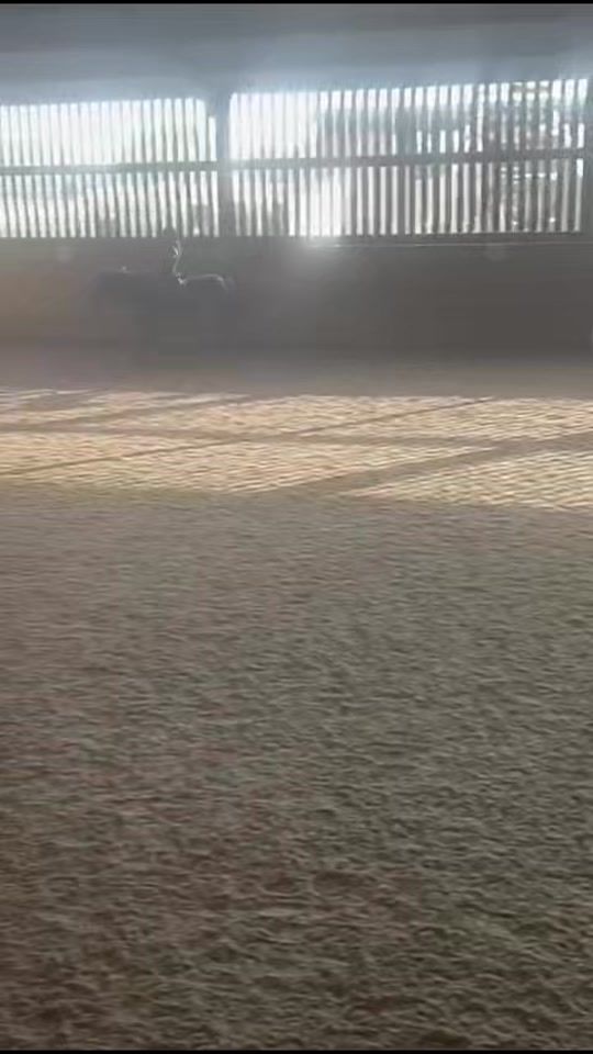 TikTok video thumbnail by a.bitter5