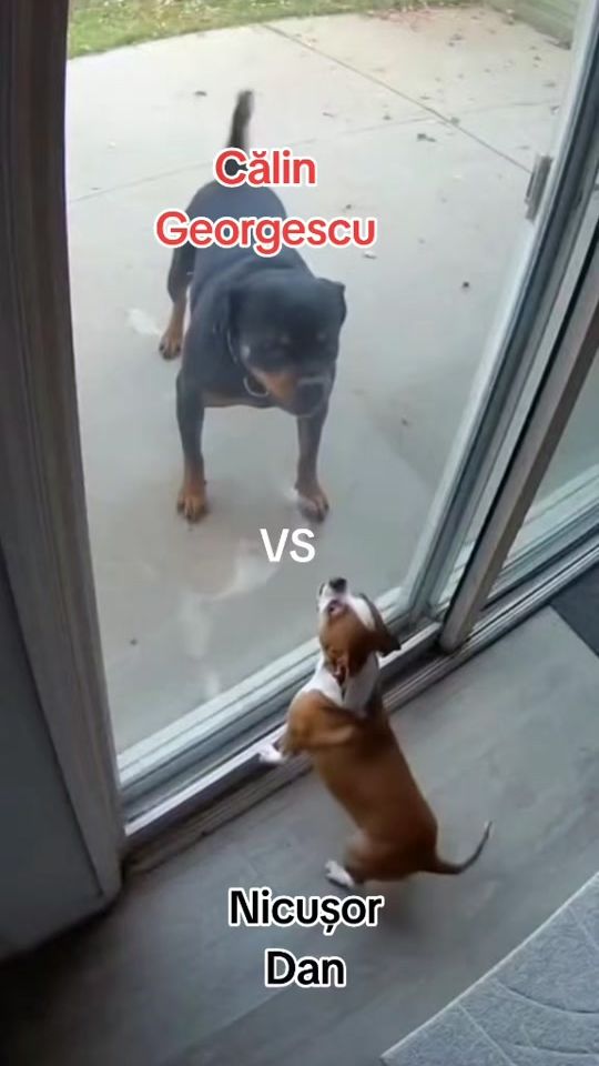 TikTok video thumbnail by rodicabalan0